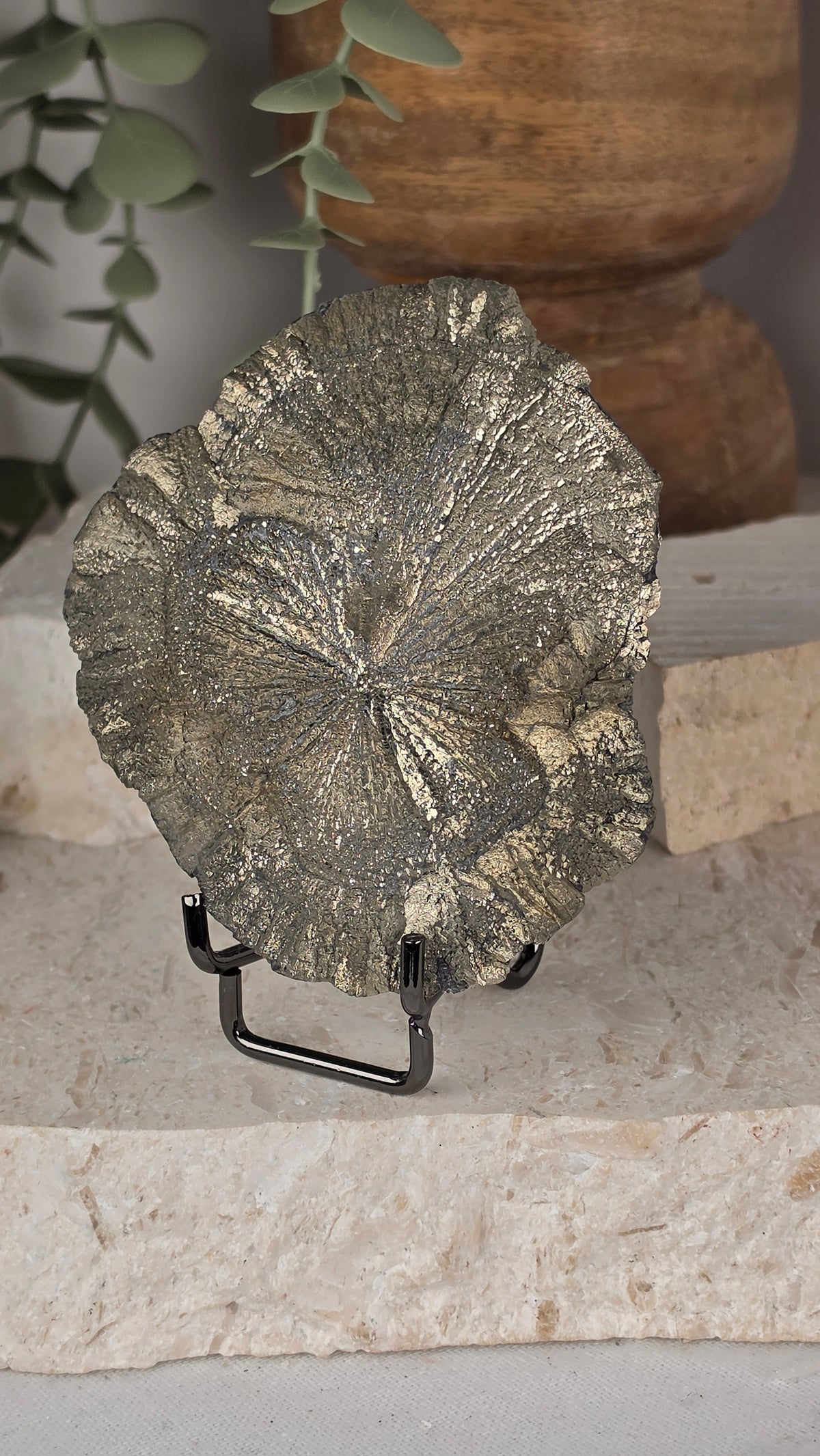 Pyrite Sun Concretion