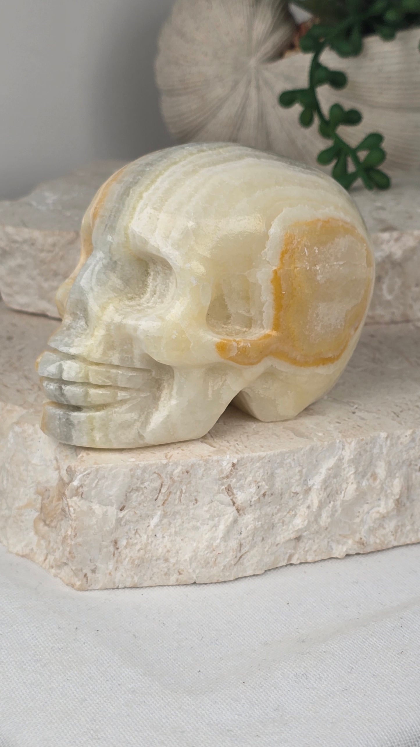 Banded Calcite Skull