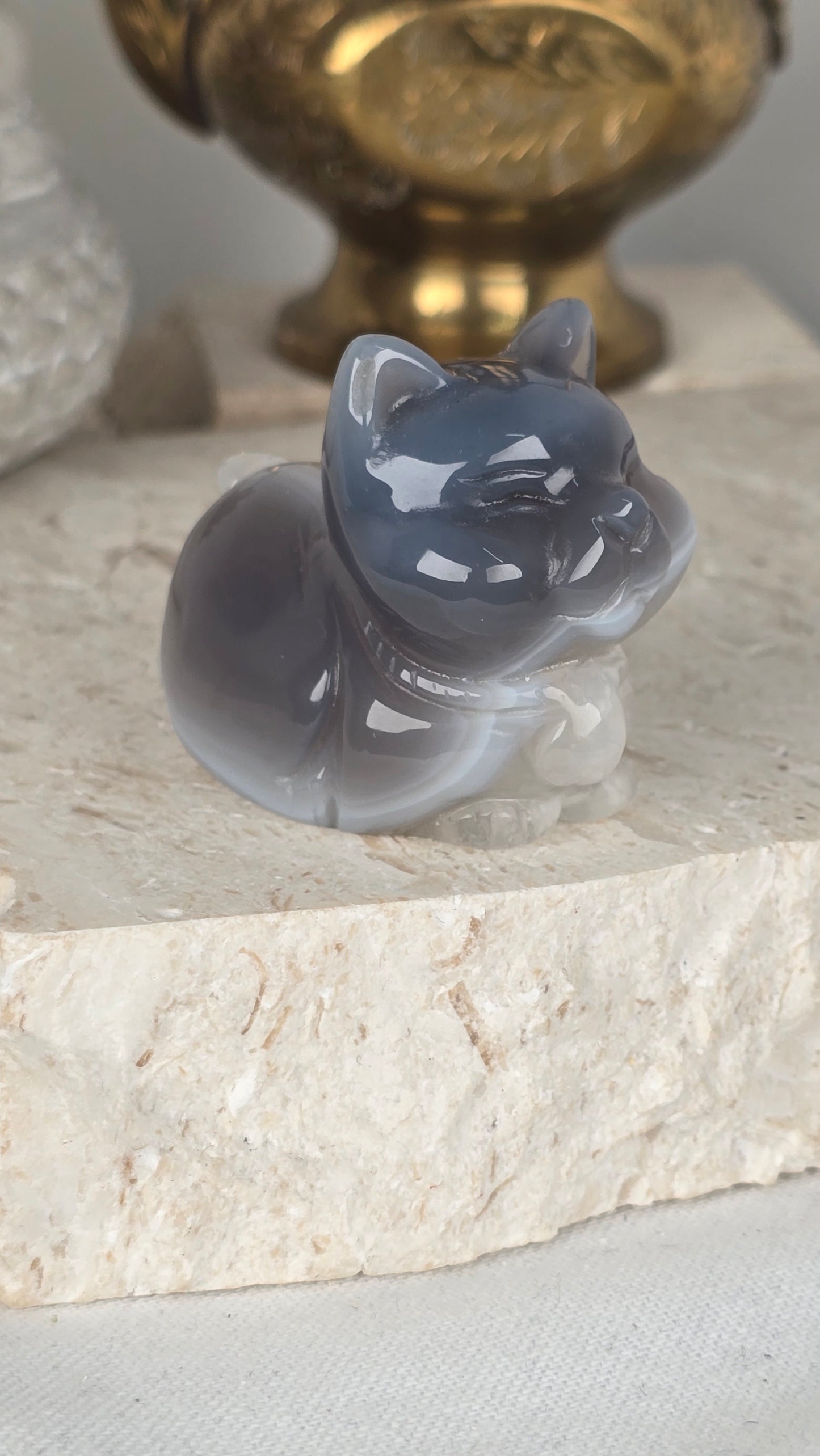 Agate Cat