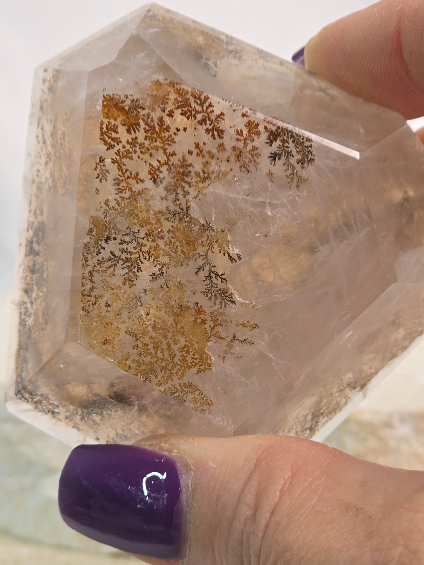 Dendritic Garden Quartz Freeform