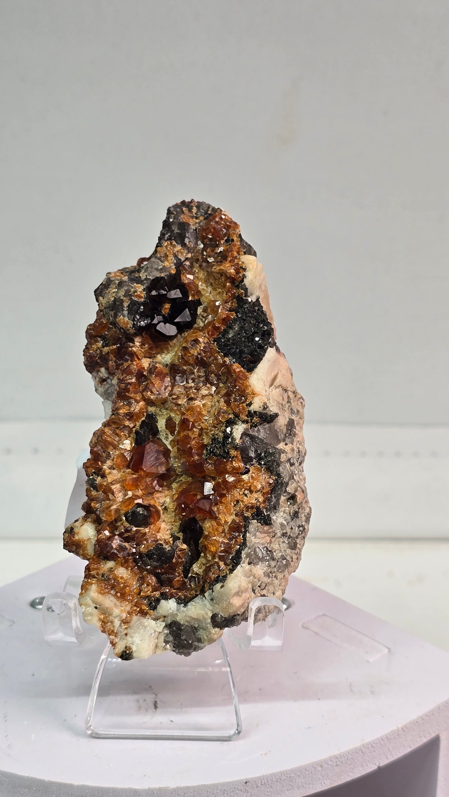 Lavender Bay live sale 2/7