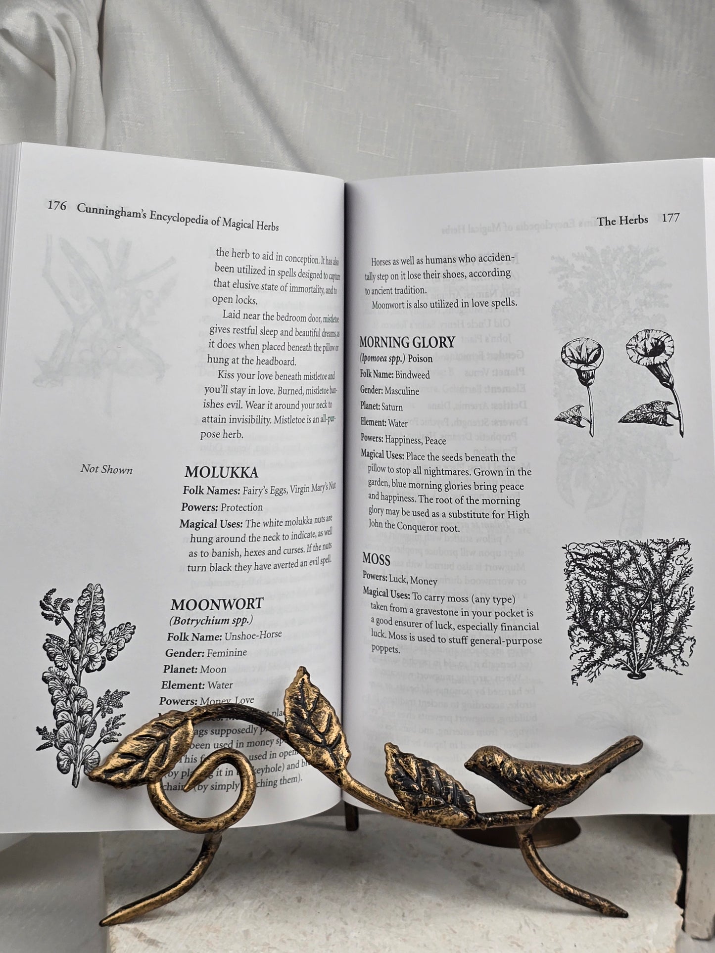 Encyclopedia of Magical Herbs