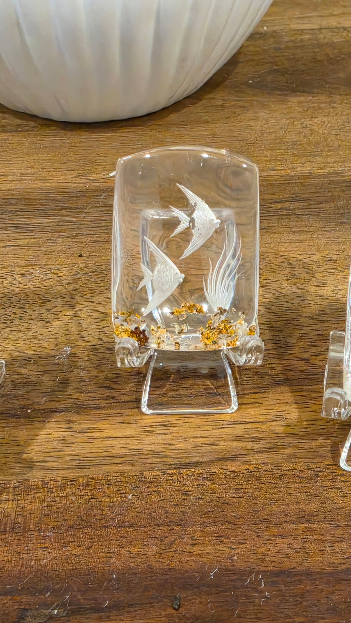 Collectors Hand Etched Garden Quartz - Angel Fish