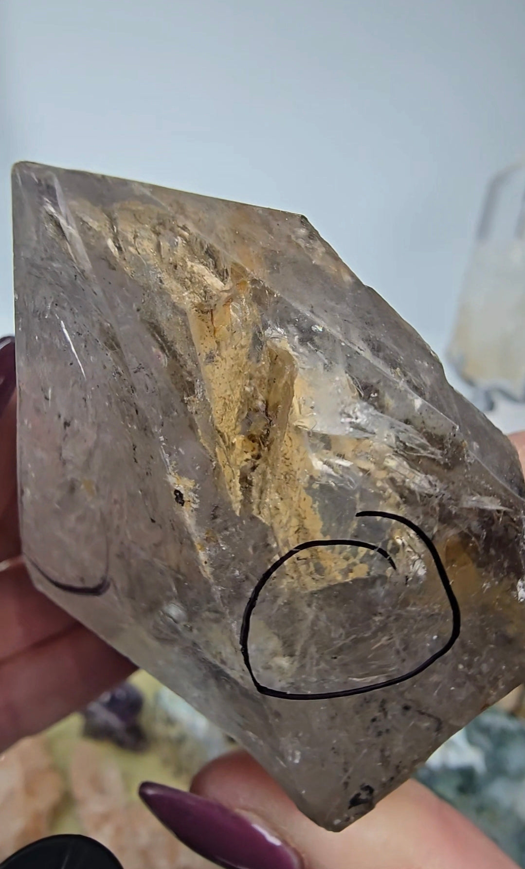 Dan French Pplan inv1 live sale 2/7