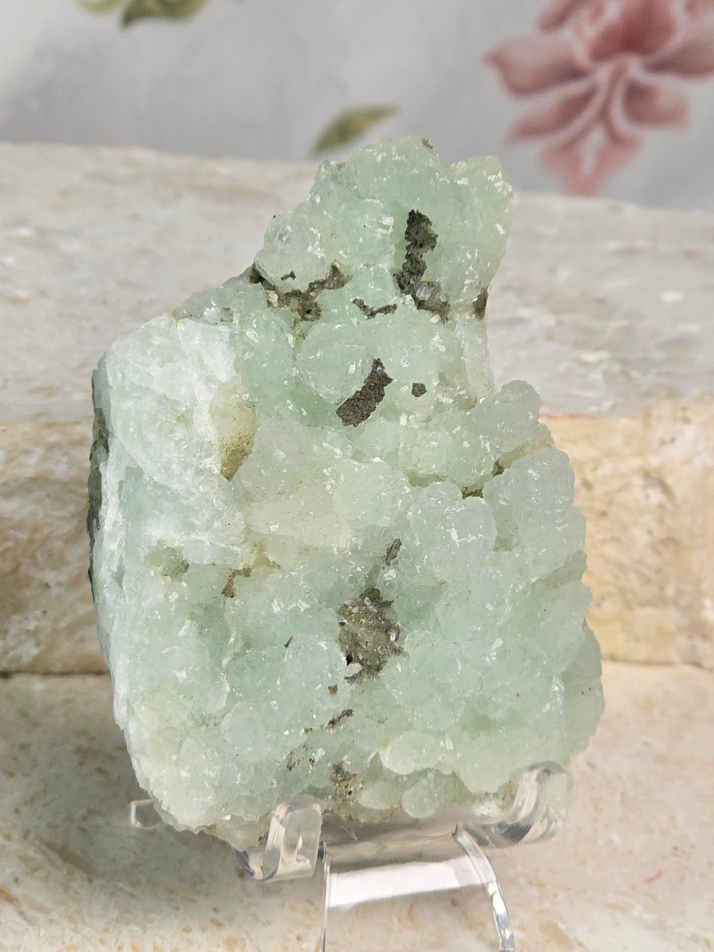 Namibian Prehnite Specimen & stand