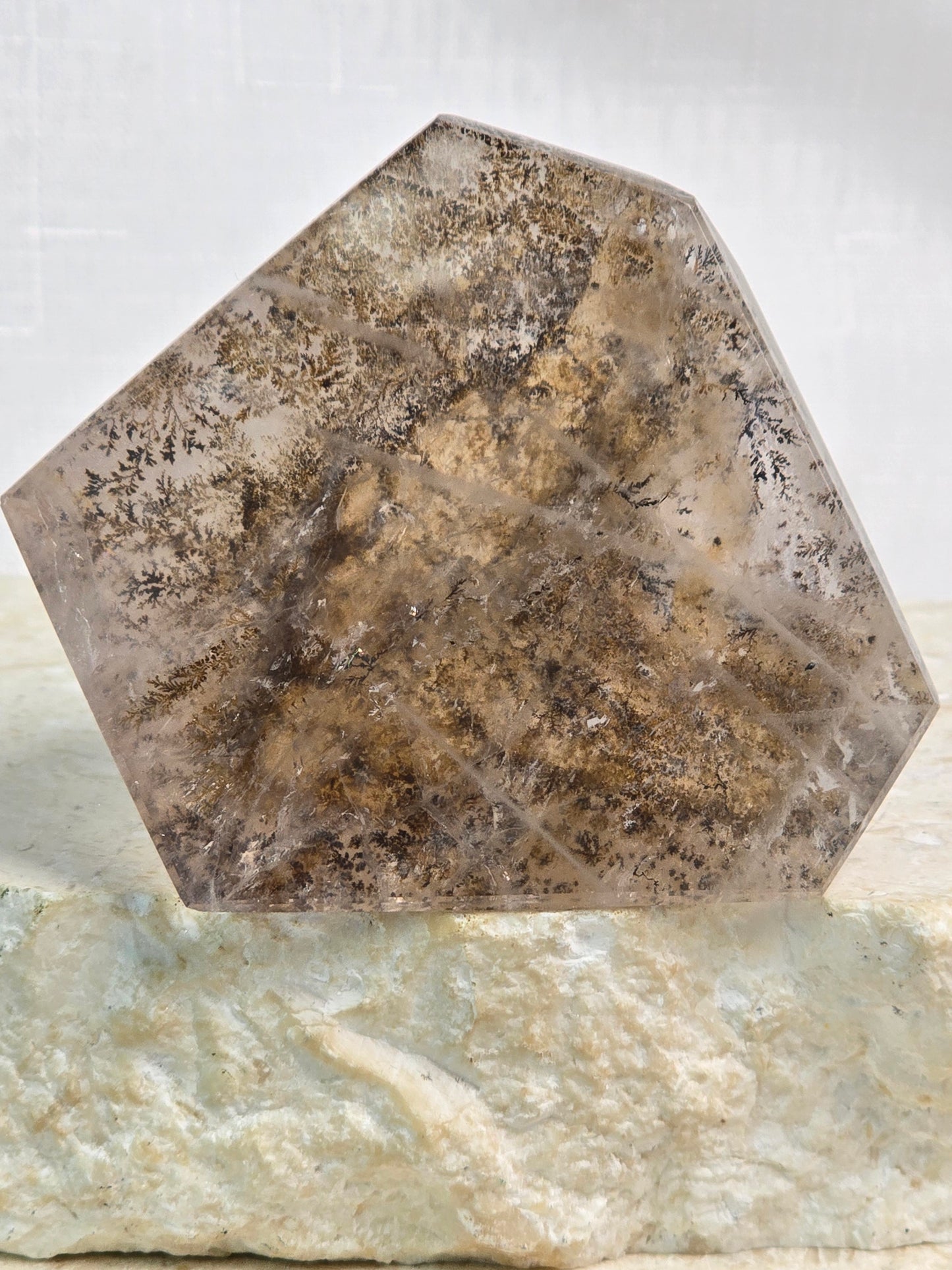 Dendritic Garden Quartz Freeform