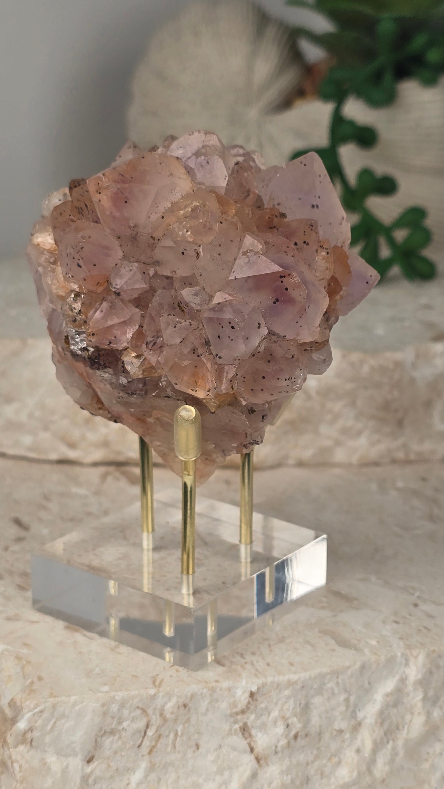Brazilian Super 7 Quartz Cluster