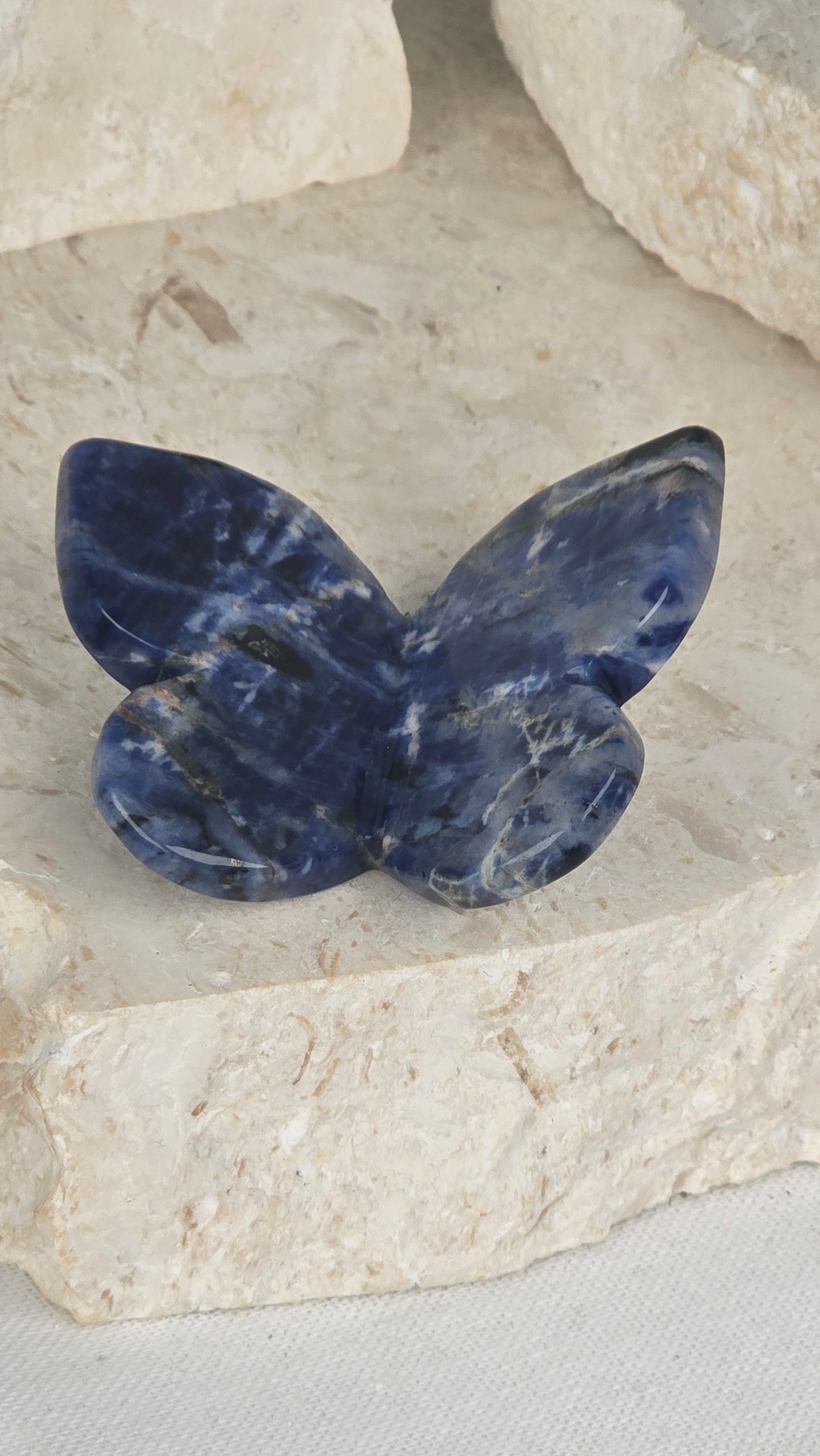 3D Butterflies
