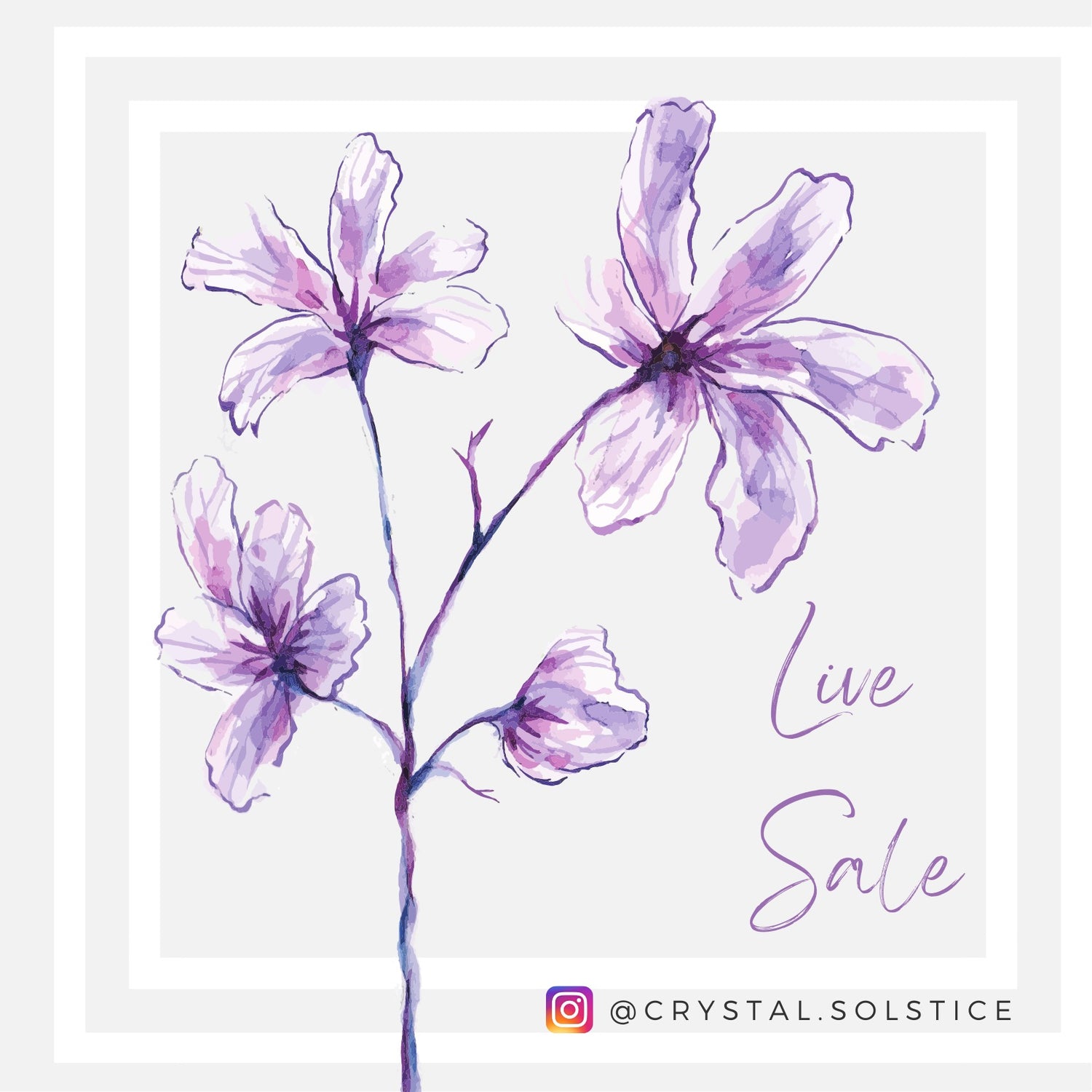 Live Sale & Story Sale Invoices