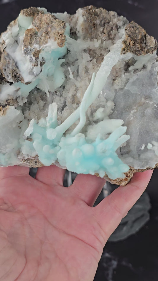 Collectors Grade XL Blue Aragonite Specimen