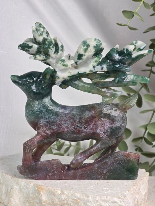 Ocean Jasper Deer