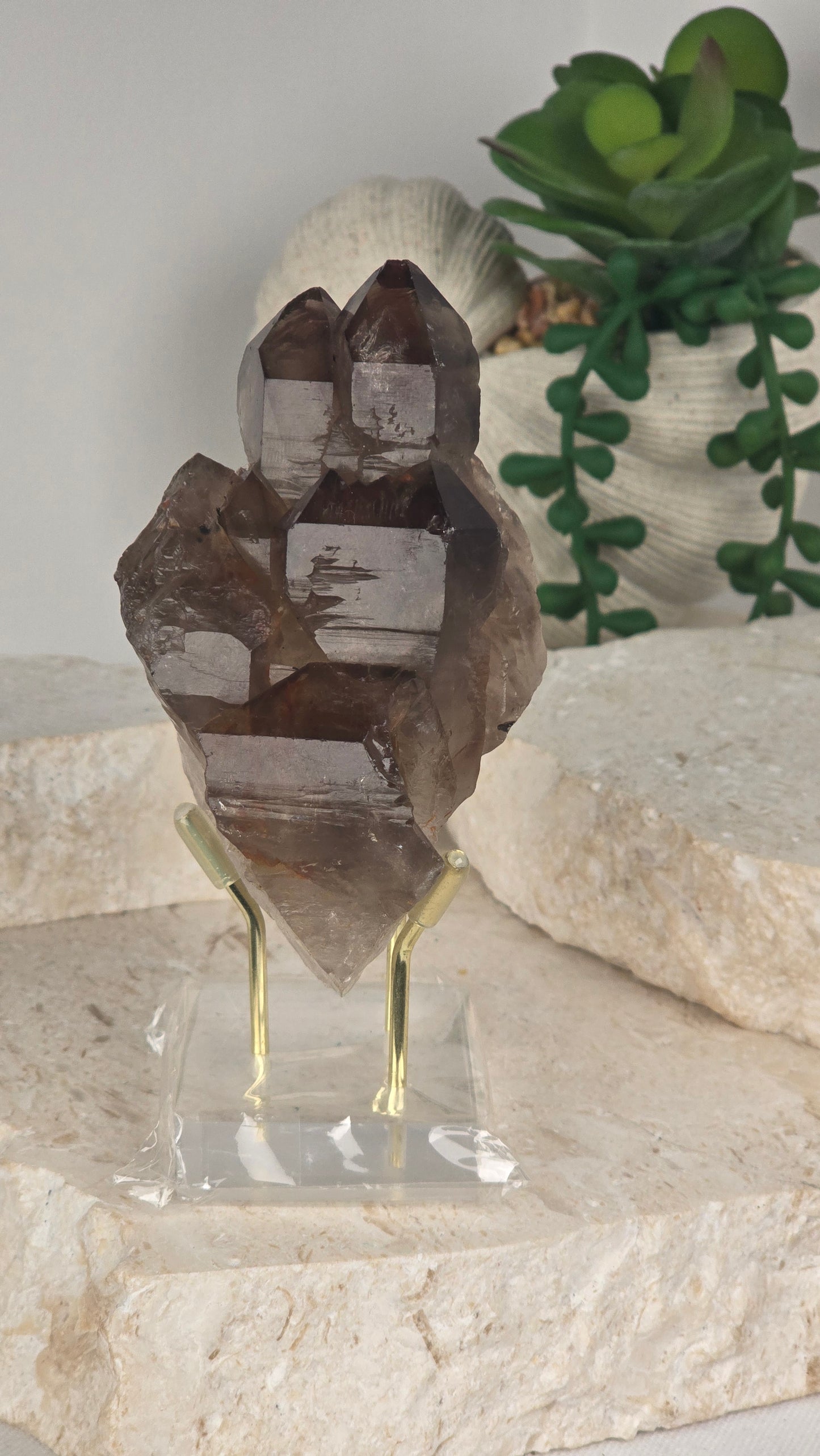 Elestial Smoky Quartz Cluster
