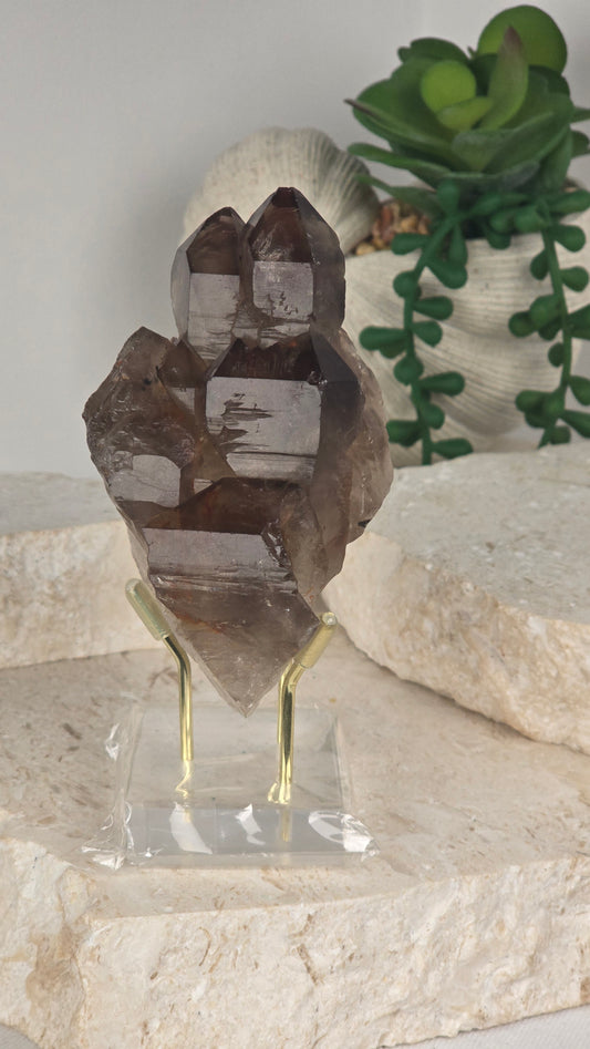 Elestial Smoky Quartz Cluster