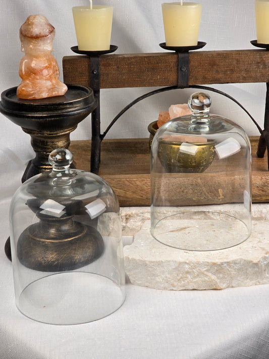 Large Glass Cloche