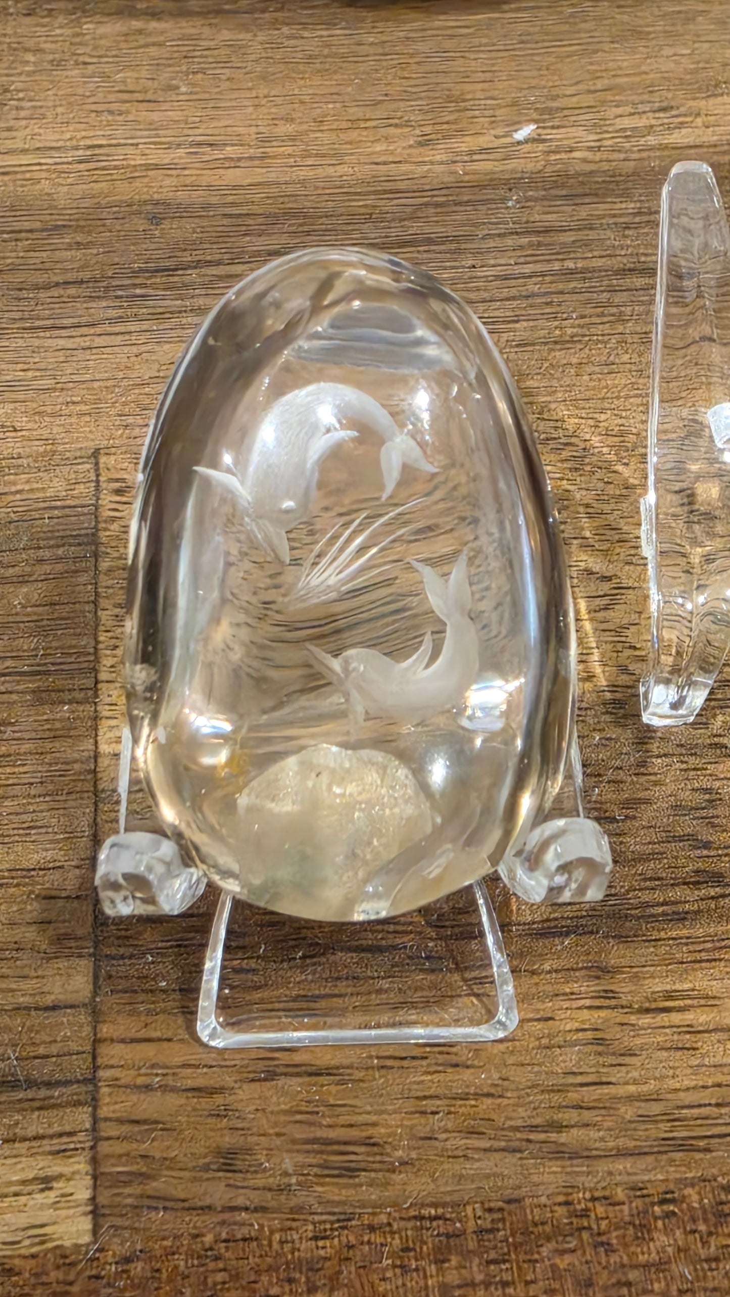 Collectors Hand Etched Garden Quartz - Dolphins