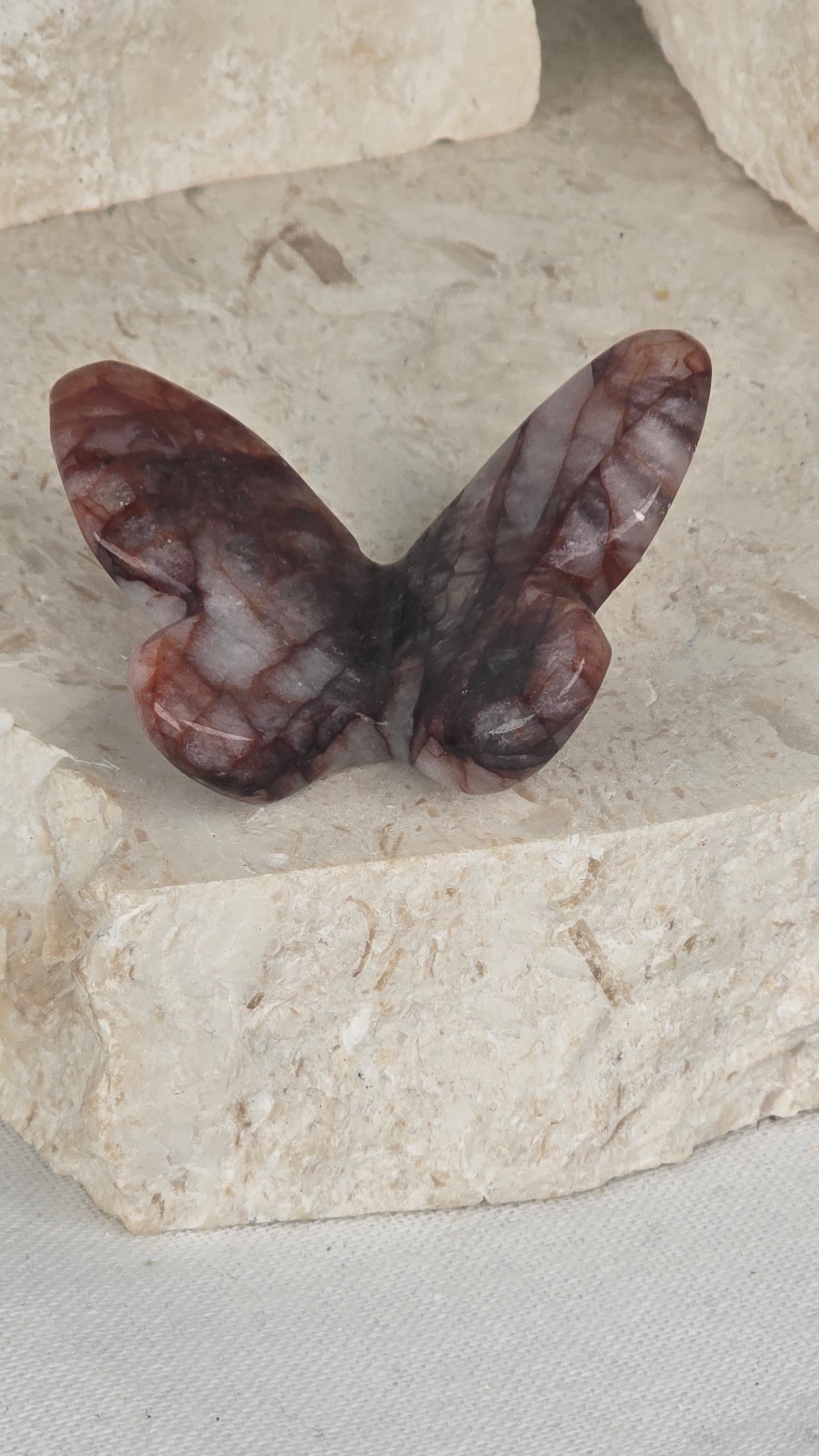 3D Butterflies