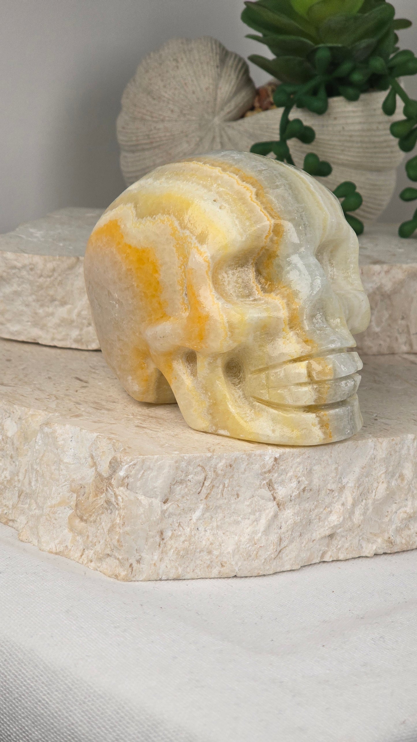 Banded Calcite Skull