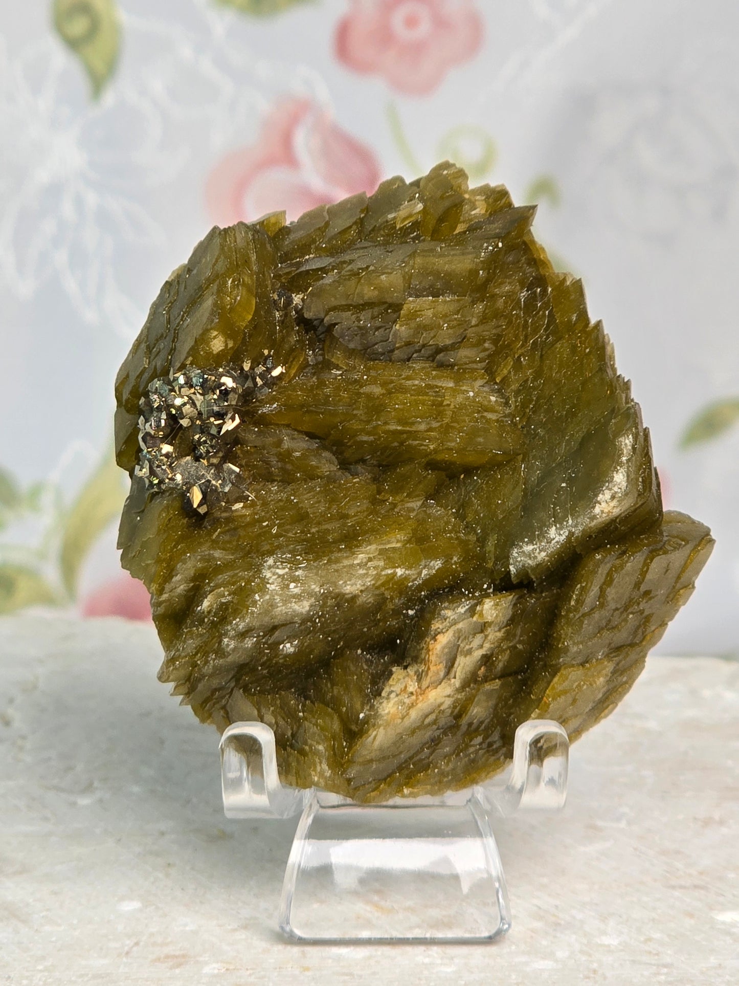 Siderite with Pyrite Specimen & stand