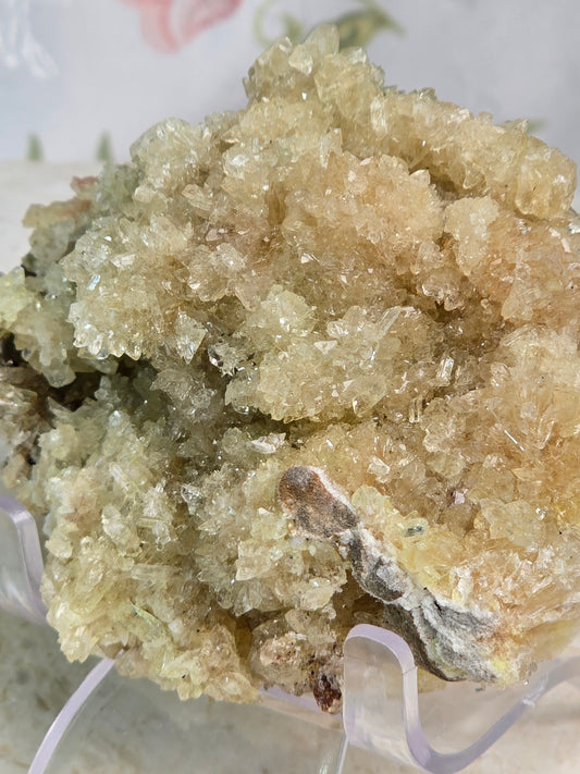 Gold Credited Cluster and Stand