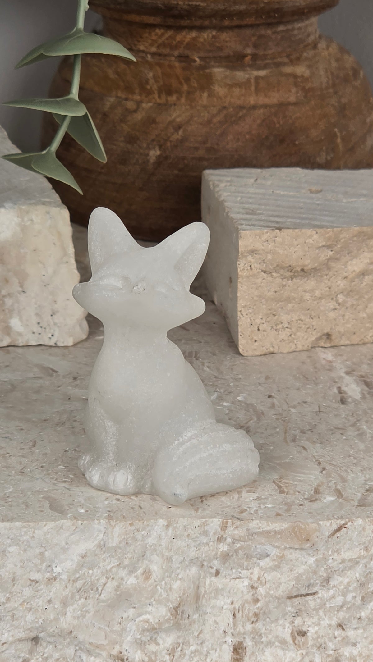 Sitting Foxes