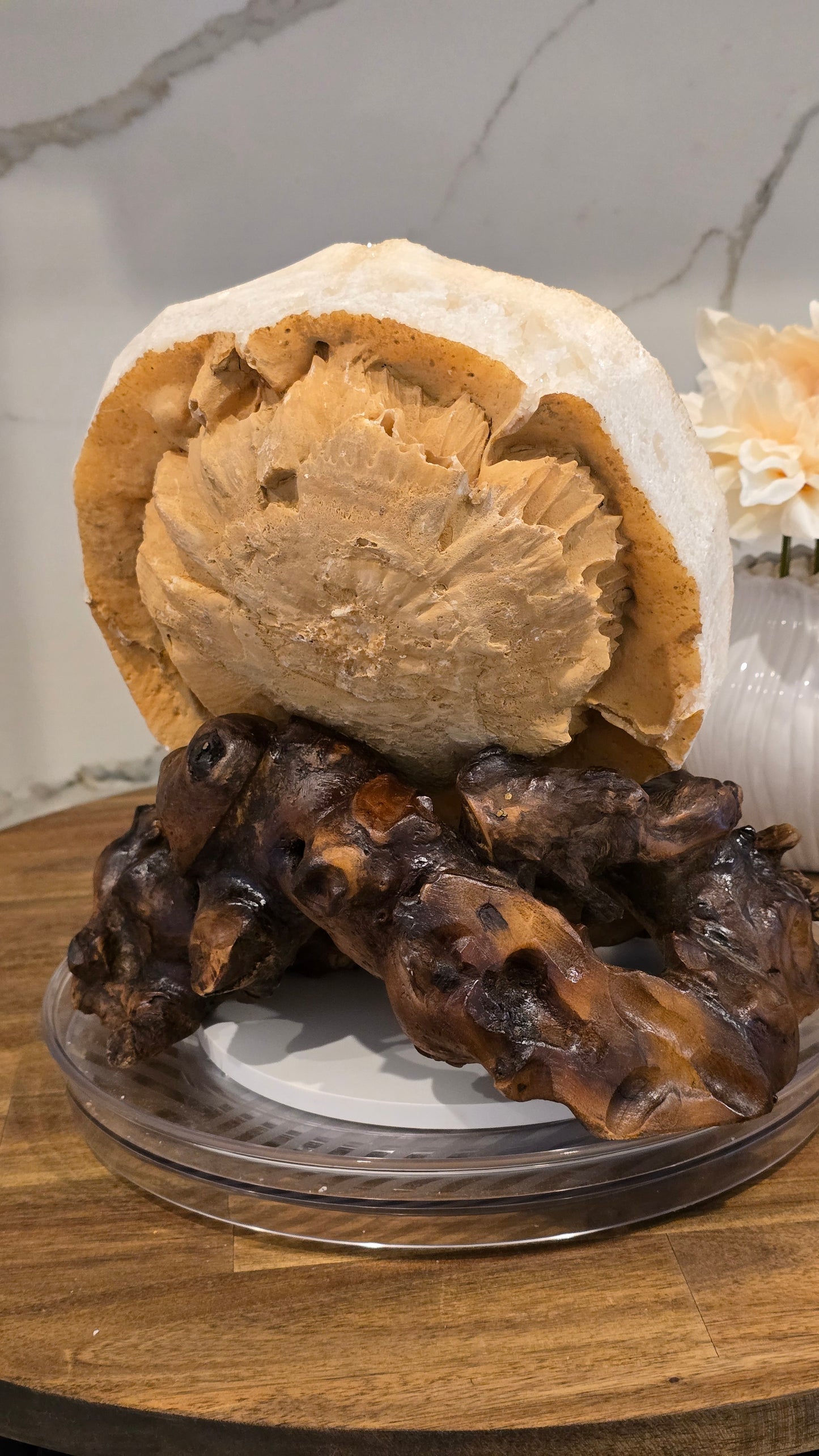 XL Collectors Statement Piece Peach Calcite Slow Growth Geode