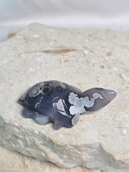 Black Flower Agate Turtle