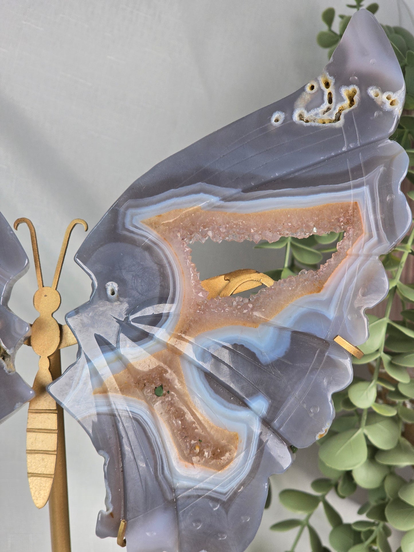 Peach Druzy Banded Agate Large Wings