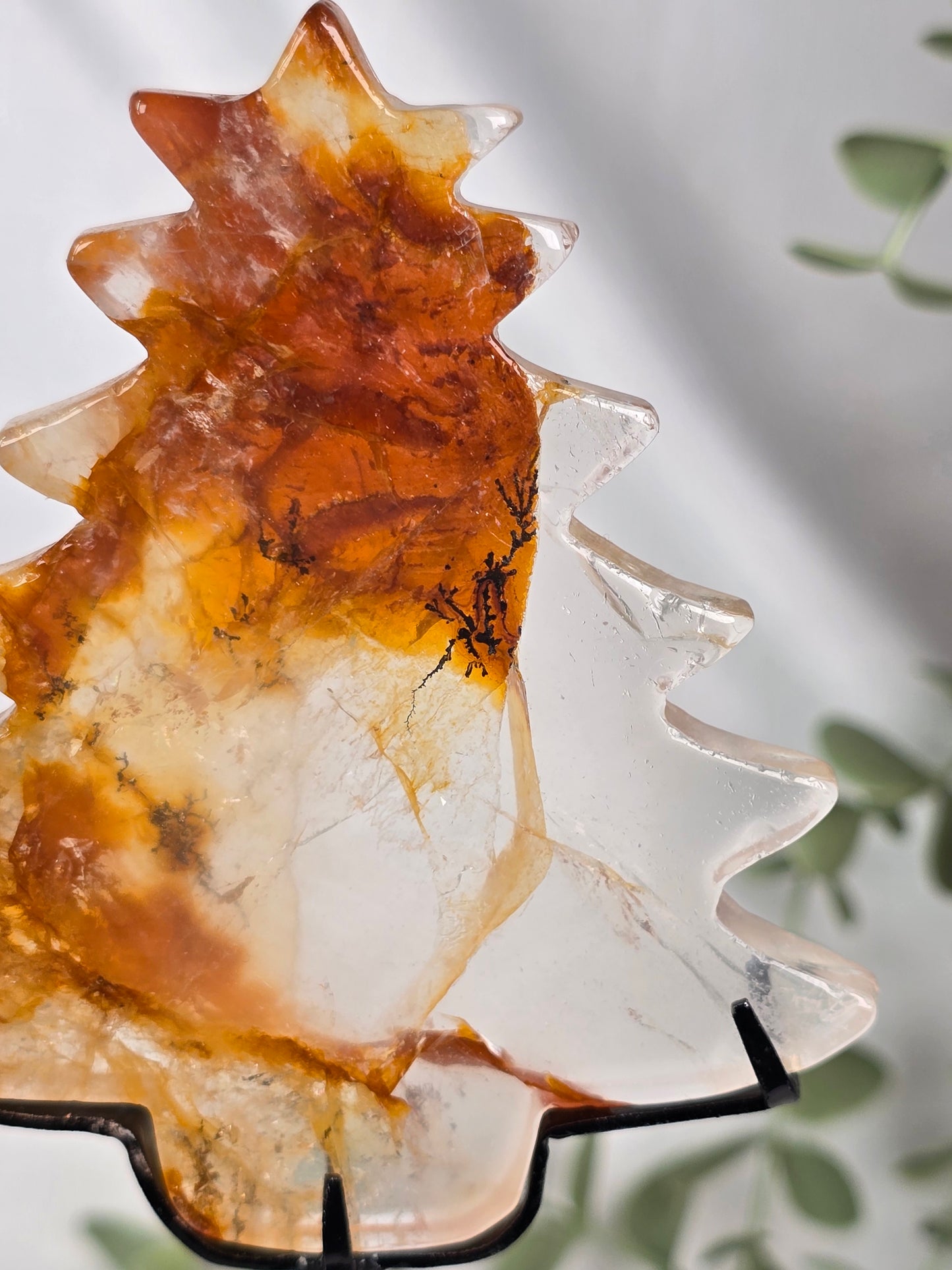 Golden Healer Xmas Tree with Dendritic inclusions