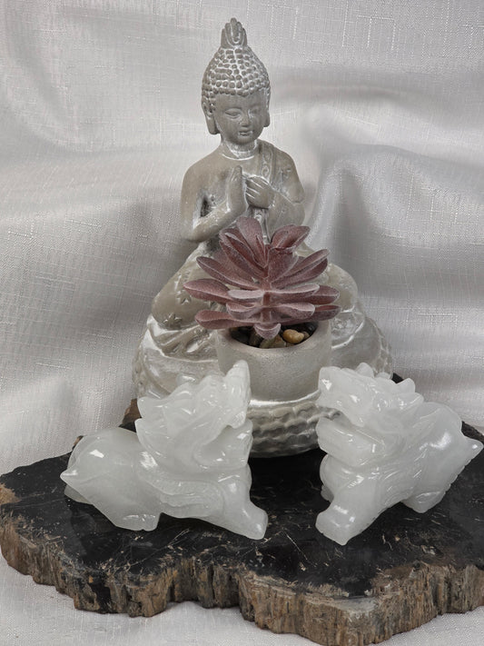 Buddha with Succulent Figurine