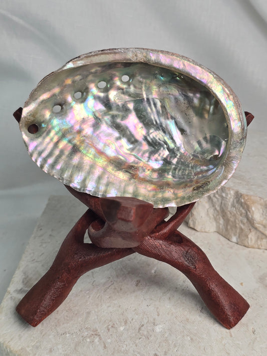 Abalone Shell & wood stand