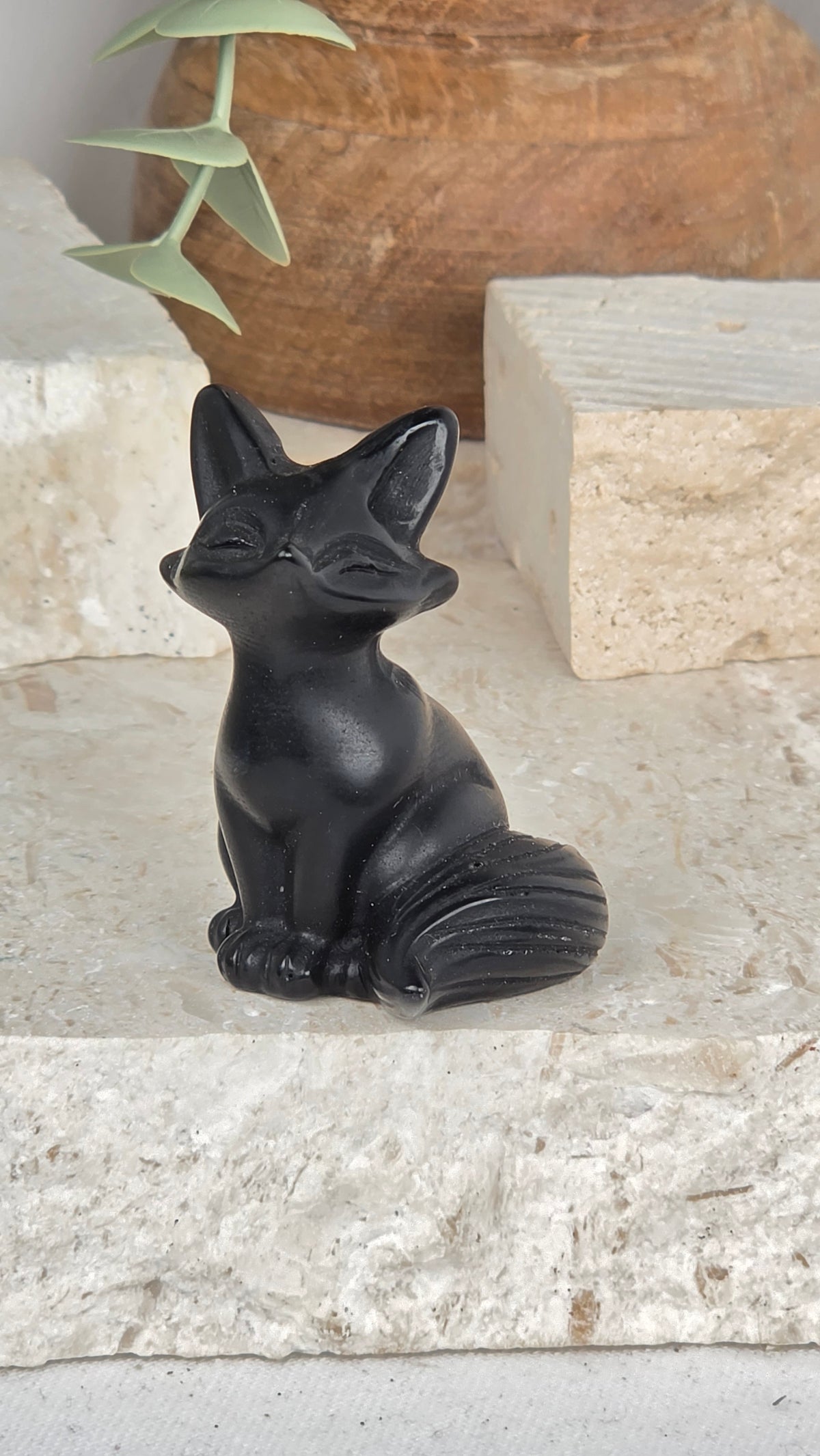 Sitting Foxes