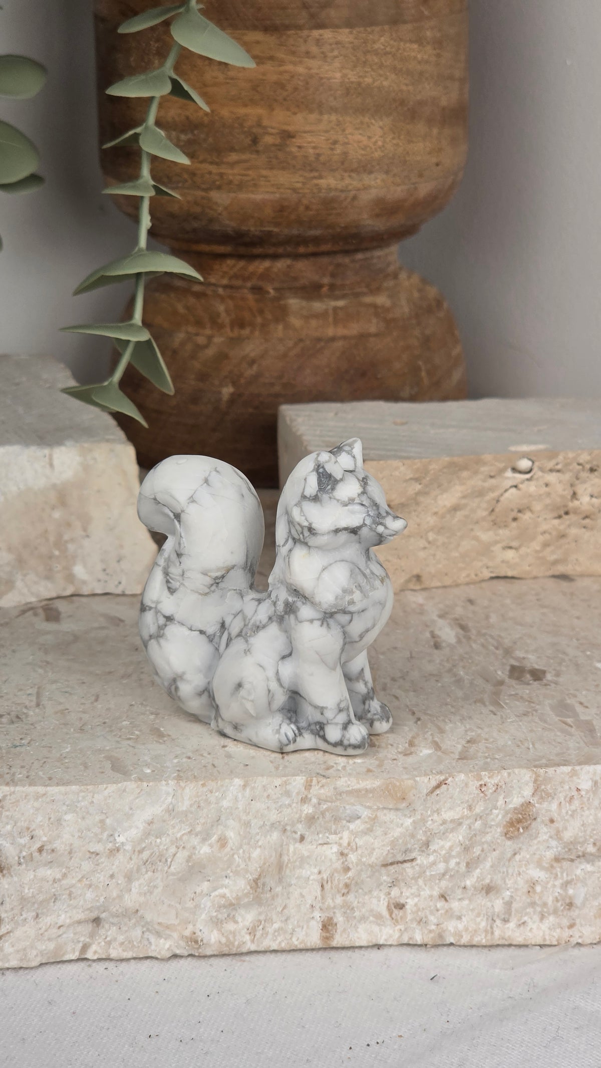 Brush Tail Foxes
