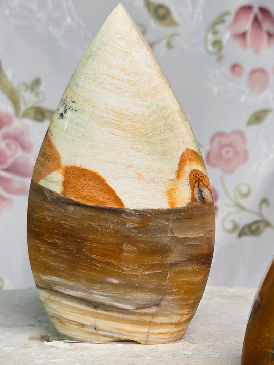 Polished Petrified Wood Flame