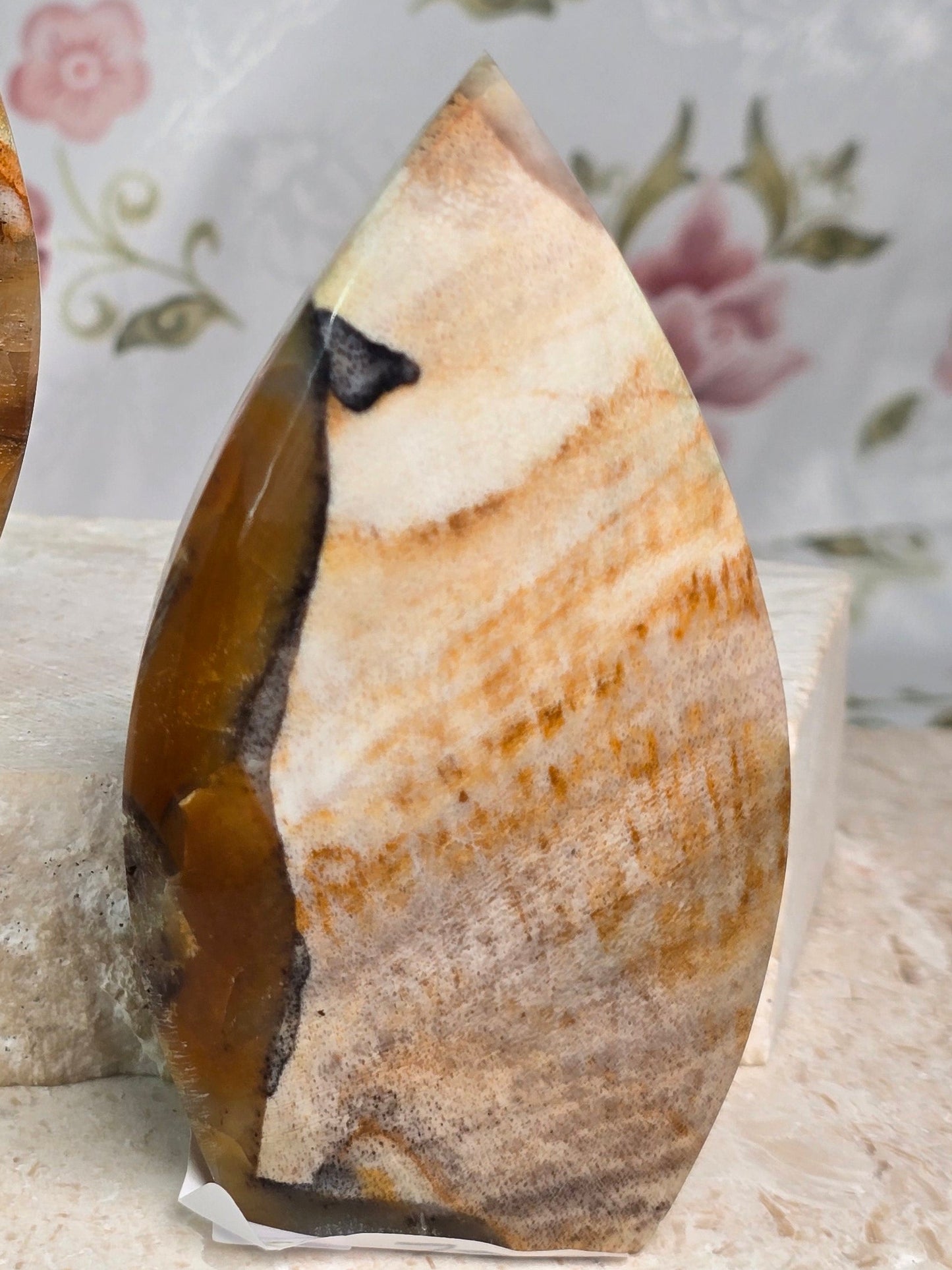 Polished Petrified Wood Flame