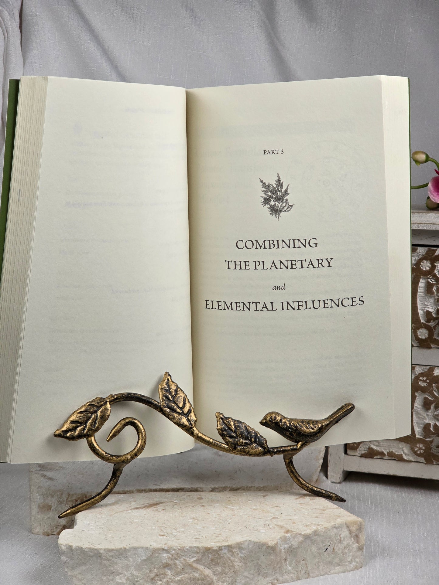 Herbal Alchemist Handbook