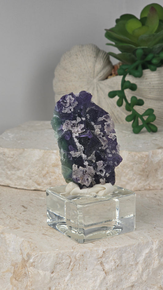 Green, Purple, White Fluorite Specimen