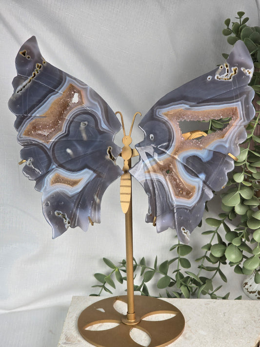 Peach Druzy Banded Agate Large Wings