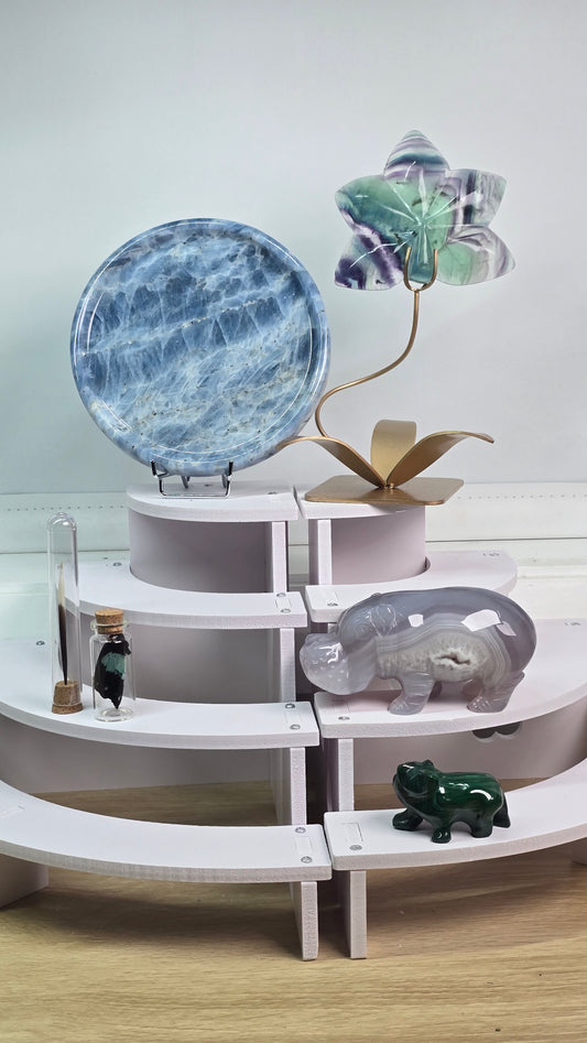 Lily Flower