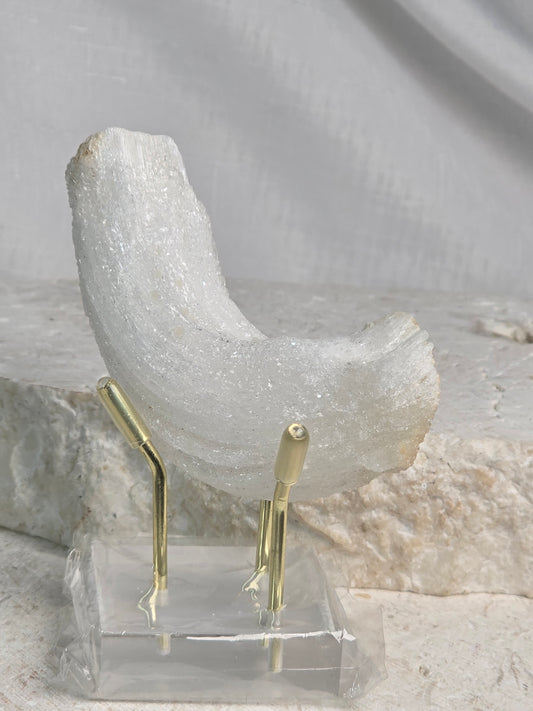 Ram Horn Selenite Specimen & stand