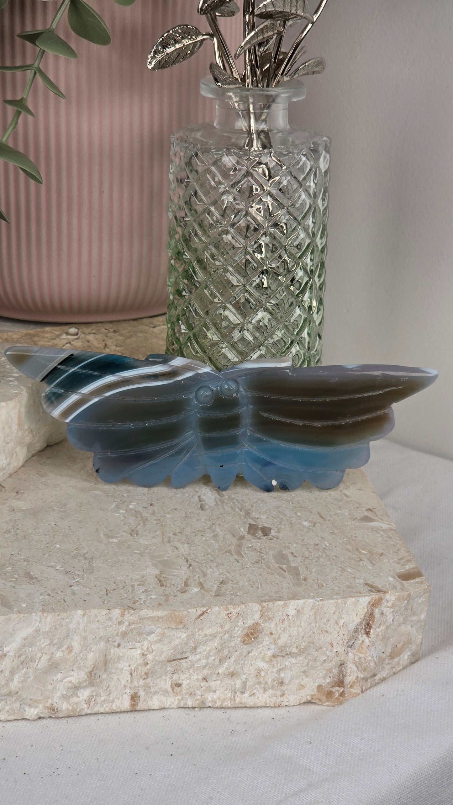 Blue Onyx Moth