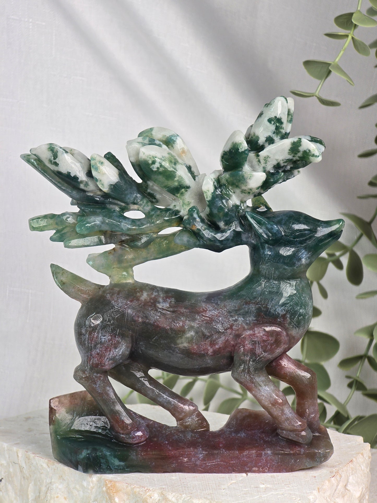 Ocean Jasper Deer