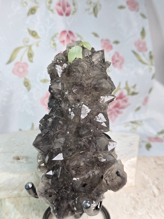 Namibian Black Garden Quartz with Prehnite and Petroleum inclusions Cluster Specimen & stand