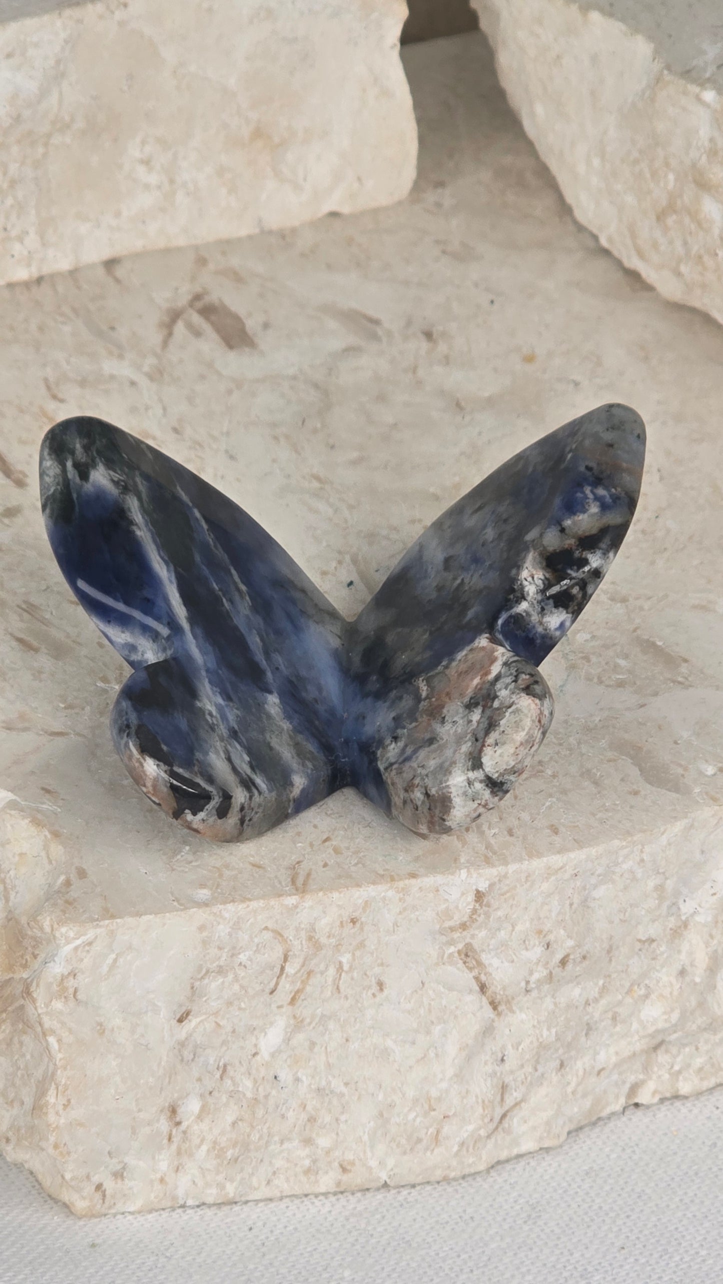 3D Butterflies
