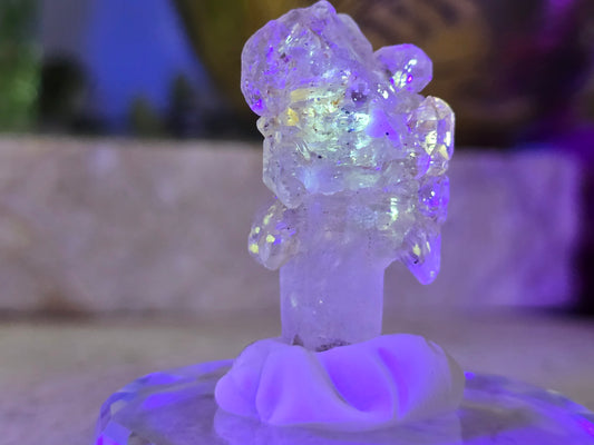 Petroleum Enydro Skeleton Quartz Specimen - rare