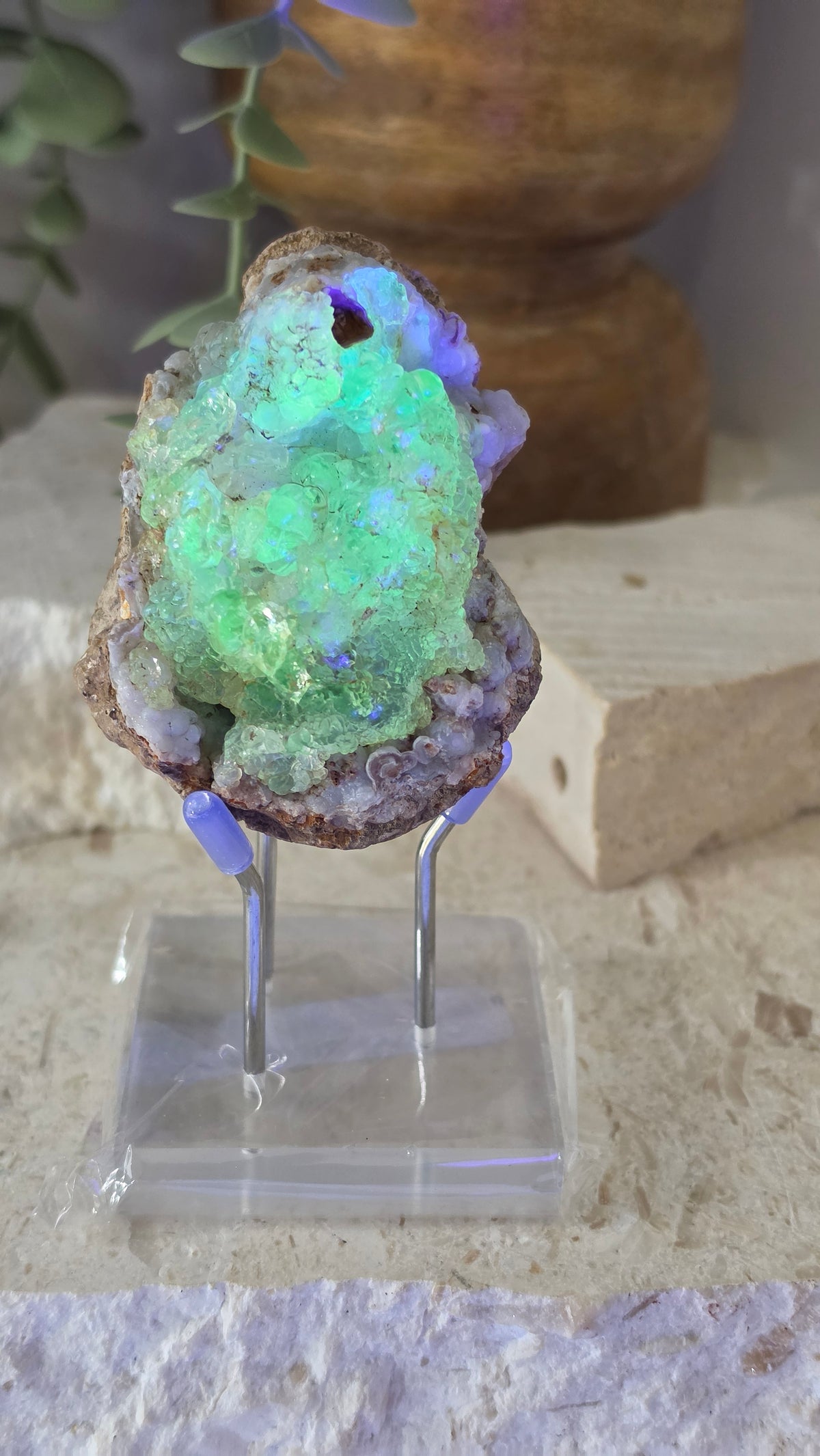 Museum grade Mexican Hyalite opal