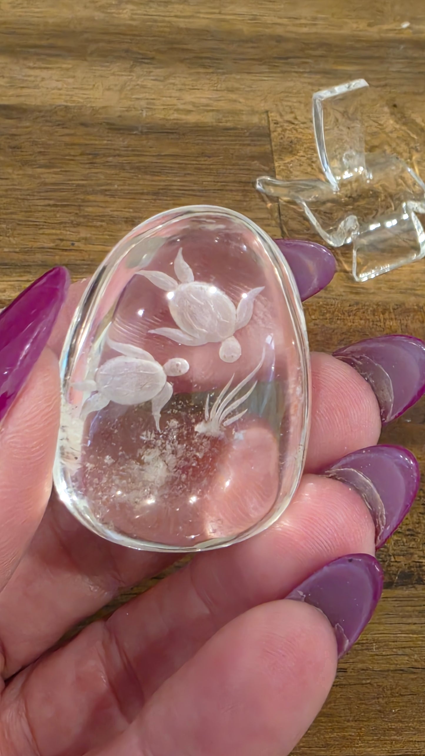 Collectors Hand Etched Garden Quartz - Turtles