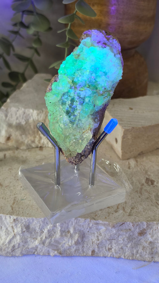 Museum grade Mexican Hyalite opal