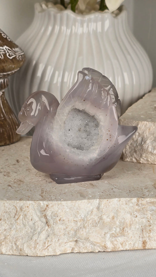 Druzy Agate Swan
