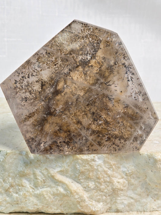 Dendritic Garden Quartz Freeform