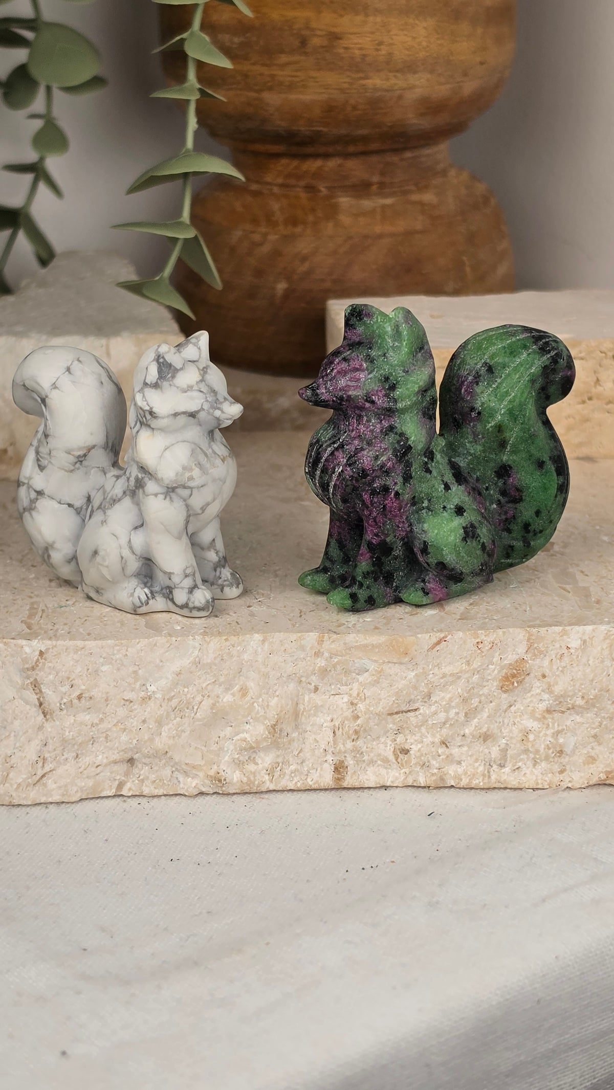 Brush Tail Foxes